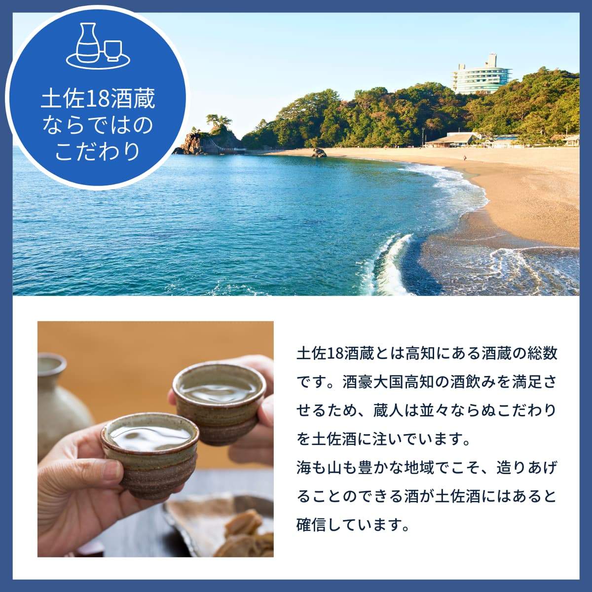 土佐しらぎく 純米吟醸 初しぼり 高育酒80号 生酒 720mL